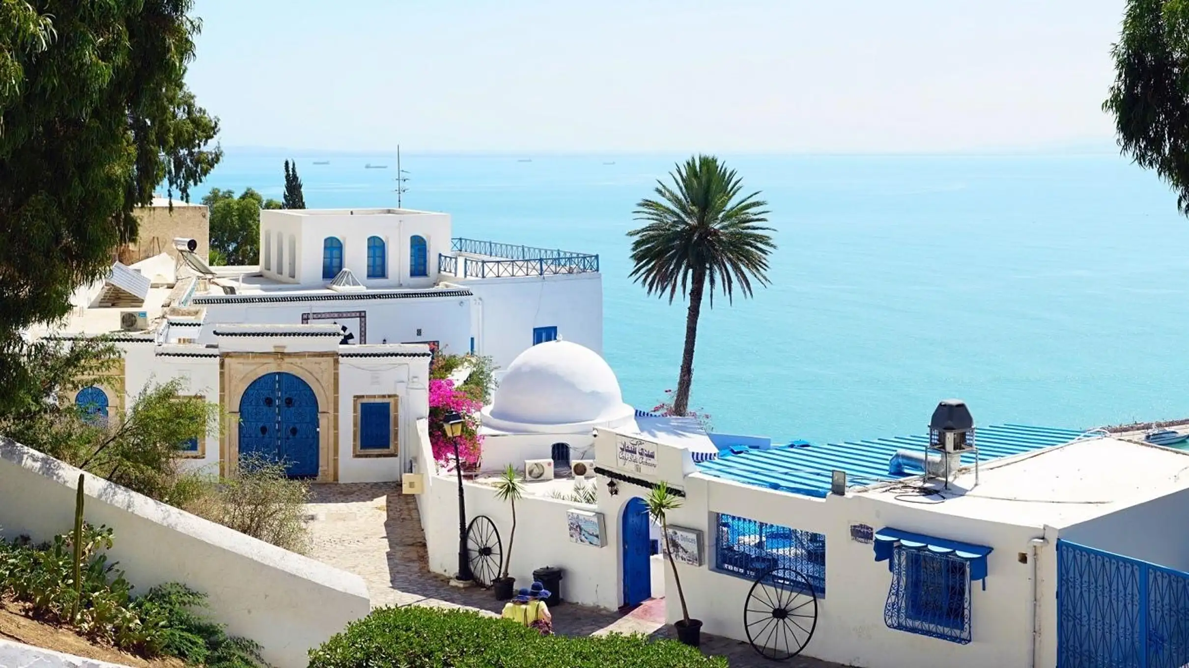 sidi 1